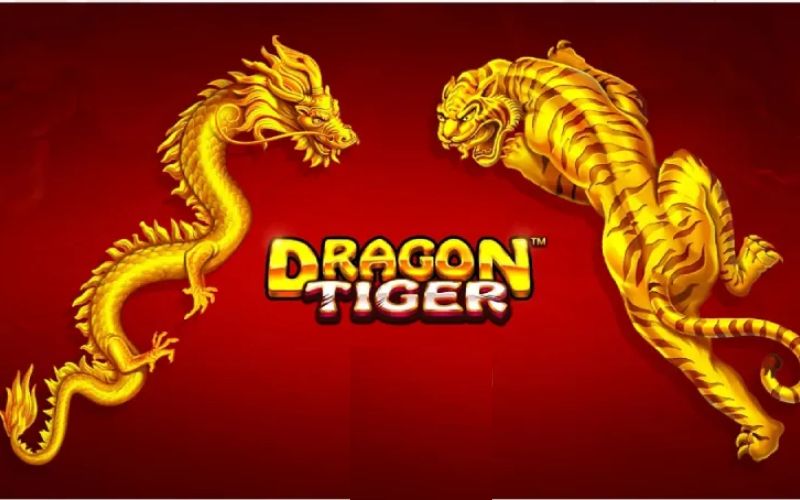 Trò chơi Dragon Tiger/Rồng Hổ có quy luật khá đơn giản, bạn chỉ cần lựa chọn cửa cược là Rồng hoặc Hổ